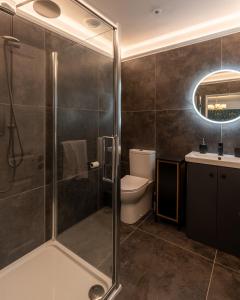 a bathroom with a shower and a toilet and a sink at No 5 Rose Inn Street - Room 1 in Kilkenny
