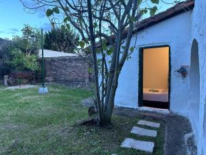 Un pequeño árbol al lado de un edificio azul con una ventana. en El Refugio de la Villa, en Villa de Leyva