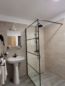 a bathroom with a sink and a glass shower at Casa Krista in Bran +51 photos