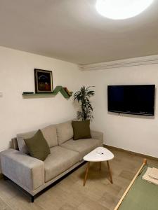 a living room with a couch and a flat screen tv at M Place in Zvezdara +11 photos