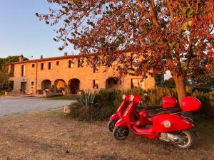特雷宽达Agriturismo Sole的相册照片