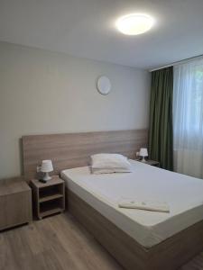 Postel nebo postele na pokoji v ubytování Pensiunea Valea Negrasului
