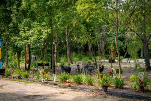 a garden with plants and a fence with trees at Hermann Grain Bins Chicken Run grain bin sleeps 8 in Hermann