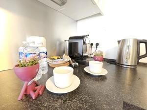 eine Küchentheke mit zwei Tassen und Pflanzen darauf in der Unterkunft City Escape - Cozy 1BR Flat with terrace&parking in Luxemburg (Stadt)