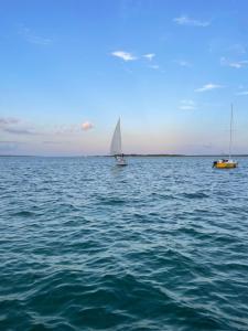 Φυσικό τοπίο κοντά σε αυτό το πλωτό κατάλυμα