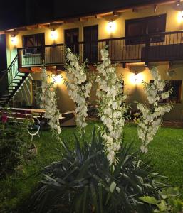 a plant with white flowers in front of a building at Guest house Karina in Râşnov