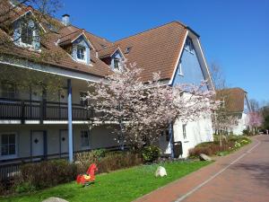 Galeriebild der Unterkunft Ferienwohnung Ortlieb Laboe in Laboe