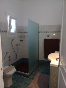 a bathroom with a shower and a toilet and a sink at Thea Rooftop in Skiathos