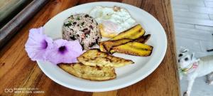 a white plate of food on a table at Liahs tortuguero in Tortuguero