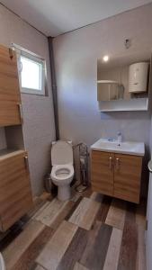 a small bathroom with a toilet and a sink at Apartman Moj Mir in Igalo