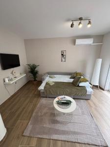 TV a/nebo společenská místnost v ubytování Várva Vár apartman