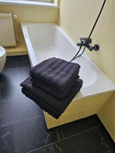 Gallery image of Seegarten in Görlitz