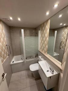a bathroom with a toilet and a sink and a shower at Apartamentos Vino Tinto y Restaurante Tomate Rosa in Adahuesca