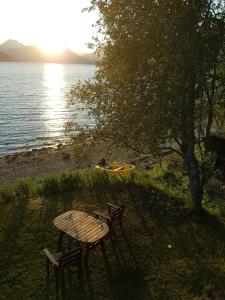 Naturlandskabet i nærheden af feriehuset + 4 billeder