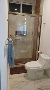 a bathroom with a shower and a toilet in it at New house with pool, excellent, 3 bedrooms in Pazulco
