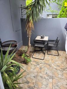 a patio with a table and chairs and a palm tree at Oasiselfcatering guest house in Kimberley