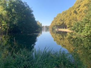 a river with trees on the side of it at Maison Martin de ville de style 6 pers calme terrasse in Mulhouse
