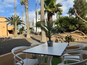 Una mesa blanca y sillas en un patio con palmeras. en Casa Olivia Oasis Duna, en Corralejo