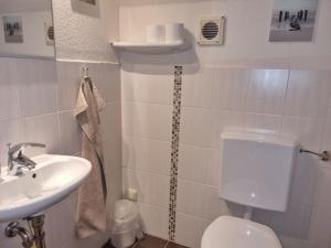 a bathroom with a toilet and a sink at Farm Ferienhof Albert in Teschendorf