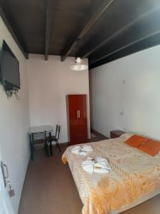 a bedroom with a bed and a table and a television at Hotel Rincon Serrano in San Agustín de Valle Fértil