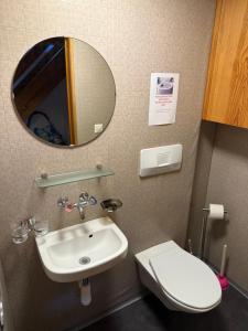 a bathroom with a sink and a toilet and a mirror at Comfort rooms near Zürich Airport in Embrach