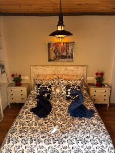 a bedroom with a bed with a comforter and pillows at Piso Rustico Asia in Dúrcal
