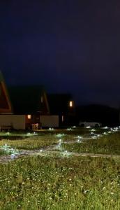 Gallery image of BUNGALOVI TIM in Žabljak