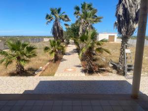a walkway with palm trees on the beach at Casa playa  +6 photos