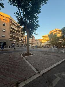 a tree sitting on a brick sidewalk next to a street at Dalle ziette! in Civitavecchia