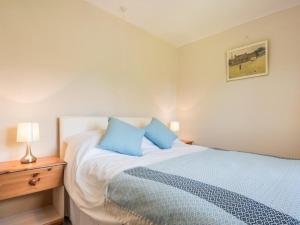 a bedroom with a bed with blue pillows on it at 3 Bed in Braithwaite SZ045 in Braithwaite