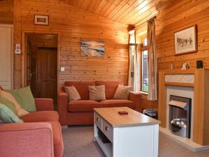イフラクームにあるPine Lodgeのソファと暖炉のあるリビングルーム