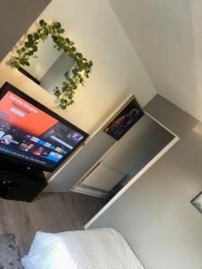 a room with a television and a shelf with a plant at 2 Luxury Interconnecting Twin Rooms-Shared Space in Basildon