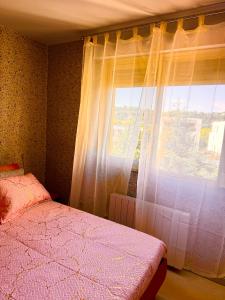 een slaapkamer met een bed en een raam bij Studio Lyon Plage in Lyon