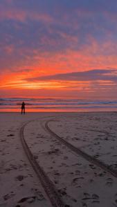 Naturlandskabet i nærheden af pensionatet
