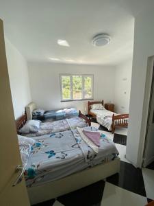 a bedroom with two beds and a window at Shtepia e Bardhe in Grykë-Orosh