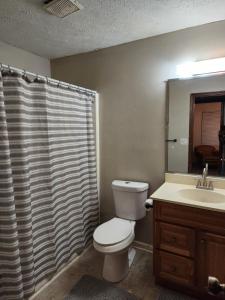 a bathroom with a toilet and a shower curtain at Urban Chalet in Douglasville