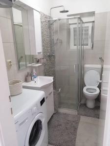 a bathroom with a washing machine and a toilet at Apartments with parking space Kali, Ugljan - 24022 in Kali