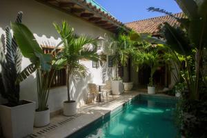 a house with a swimming pool with plants around it at Palmas de Alba Hotel Boutique in Cartagena de Indias