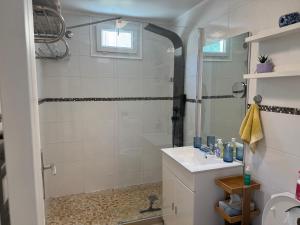 a bathroom with a shower and a sink at Charmant T2 à 5 minutes de l'Aéroport d'Orly in Paray-Vieille-Poste +15 photos