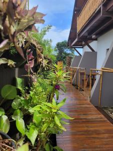 a wooden walkway next to a building with plants at Casa Makaira in Fernando de Noronha