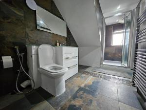 a bathroom with a toilet and a sink and a shower at Standard Single Room - Shared in Windsor
