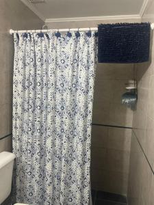 Un baño con cortina de ducha y un inodoro. en You & Me Apartment, en Tandil