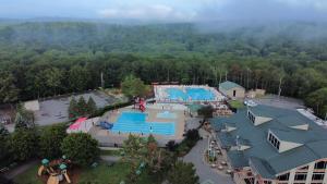 an aerial view of a pool at a park at Cozy 4-Season Chalet w Arcades & Lake, Ski Lifts in Lackawaxen