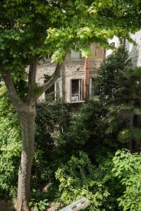 una vieja casa de piedra con un árbol delante en Les Jardins De L´Ecusson - Première Conciergerie, en Montpellier