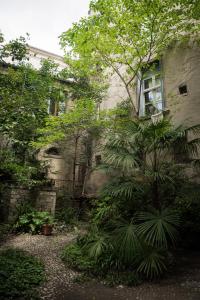 una gran planta frente a un edificio en Les Jardins De L´Ecusson - Première Conciergerie, en Montpellier