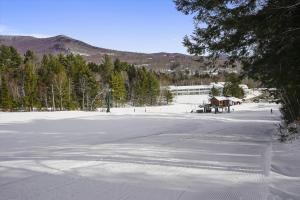 Tollhouse 10B v zimě