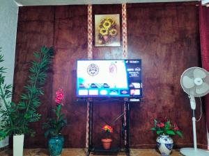 a television on a stand in a room with plants at Quiet and beautiful apartment in Orizaba
