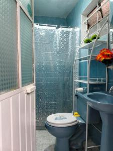 a blue bathroom with a toilet and a sink at Quiet and beautiful apartment in Orizaba +21 photos