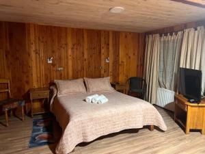 Postelja oz. postelje v sobi nastanitve Hostal Chumay
