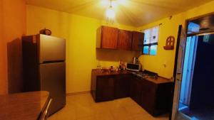a kitchen with a refrigerator and wooden cabinets at Casitas in Mexico City +12 photos
